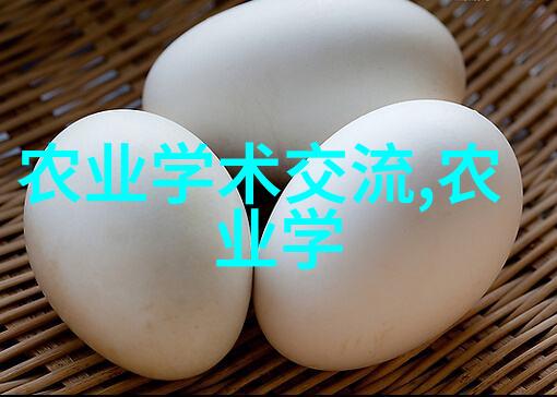 如何为容易种的柑橘橙子树进行合理施肥