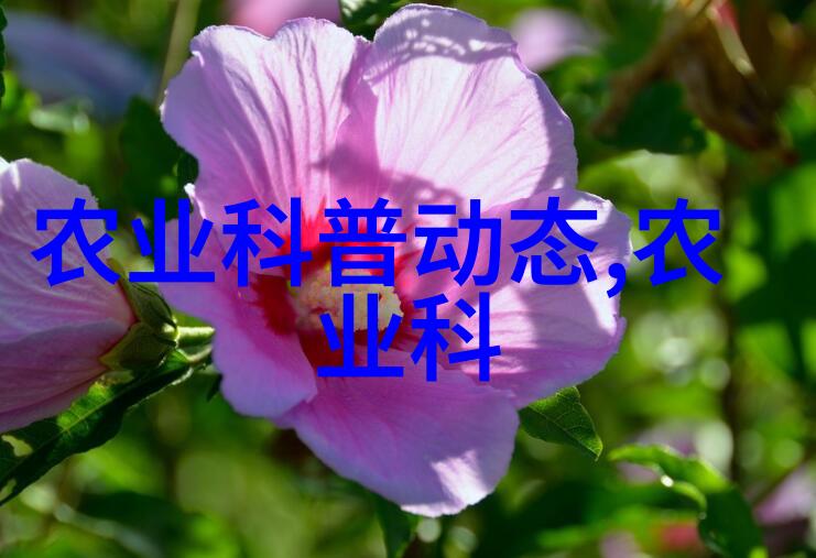 中药材新品发布深度解析最新药材创新
