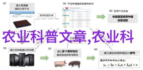 种植哪些药材最具经济效益