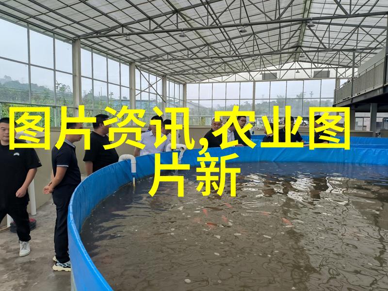 蜜蜂守护捕捉三期蜂螨拥抱多彩品种生活