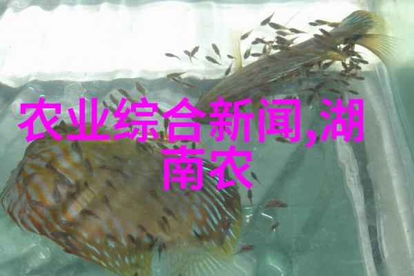 西红柿冬天能结果吗如同智者在冬日里寻找春意