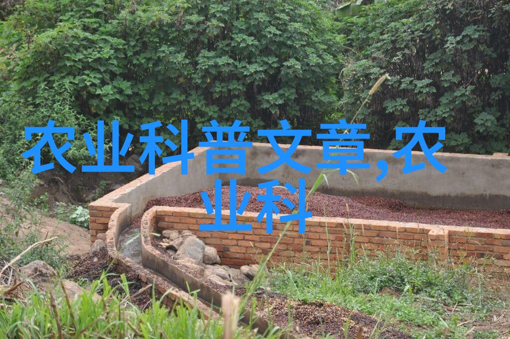 种蔬菜大棚怎么找销路老板你这不简单