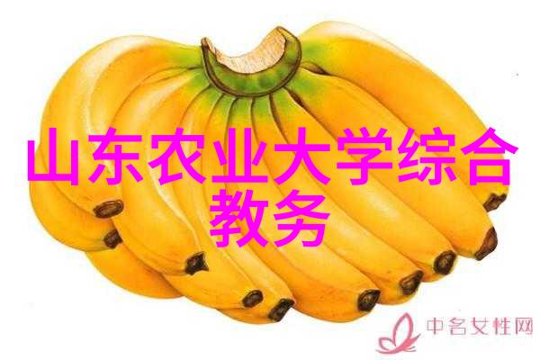 农民种植高价值水果如西瓜菠萝和蔬菜如黄瓜胡萝卜并且通过精准农业技术提高产量和品质以便在市场上获得更好