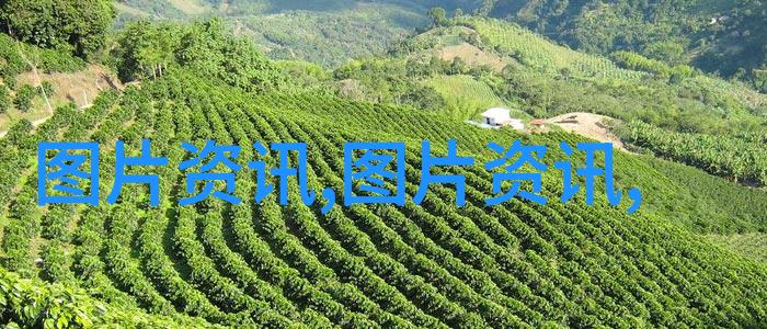 农业媒体报道全国橡标委天然橡胶分会七届五次全体会议如同春天的第一阵暖风吹醒了广大农民的生产热情