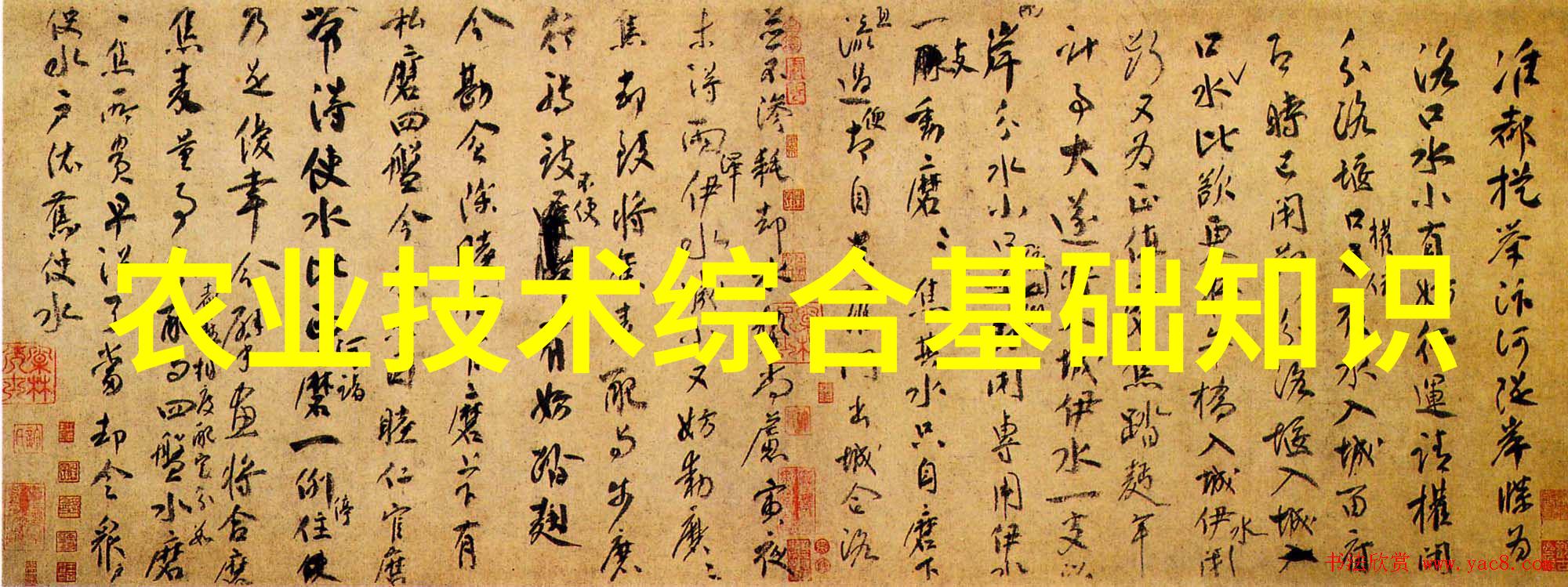 在自然的怀抱中探索dinkum蜜蜂养殖的前景如何