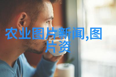 城市林荫道的新宠儿最新路边绿化苗木推荐