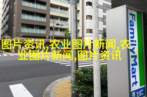 图5：羊蹄叶，既可食用亦可做医治工具