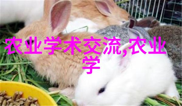 我来告诉你冬季室外耐寒的花卉有哪些