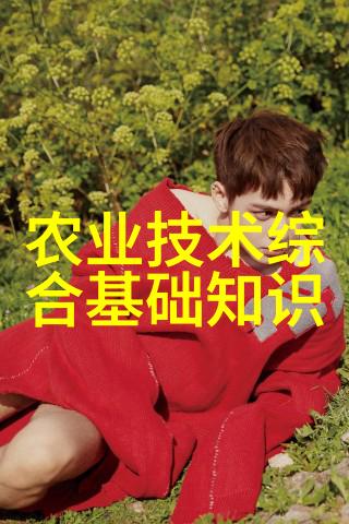 紫叶稠李10公分小苗的市场价格探究