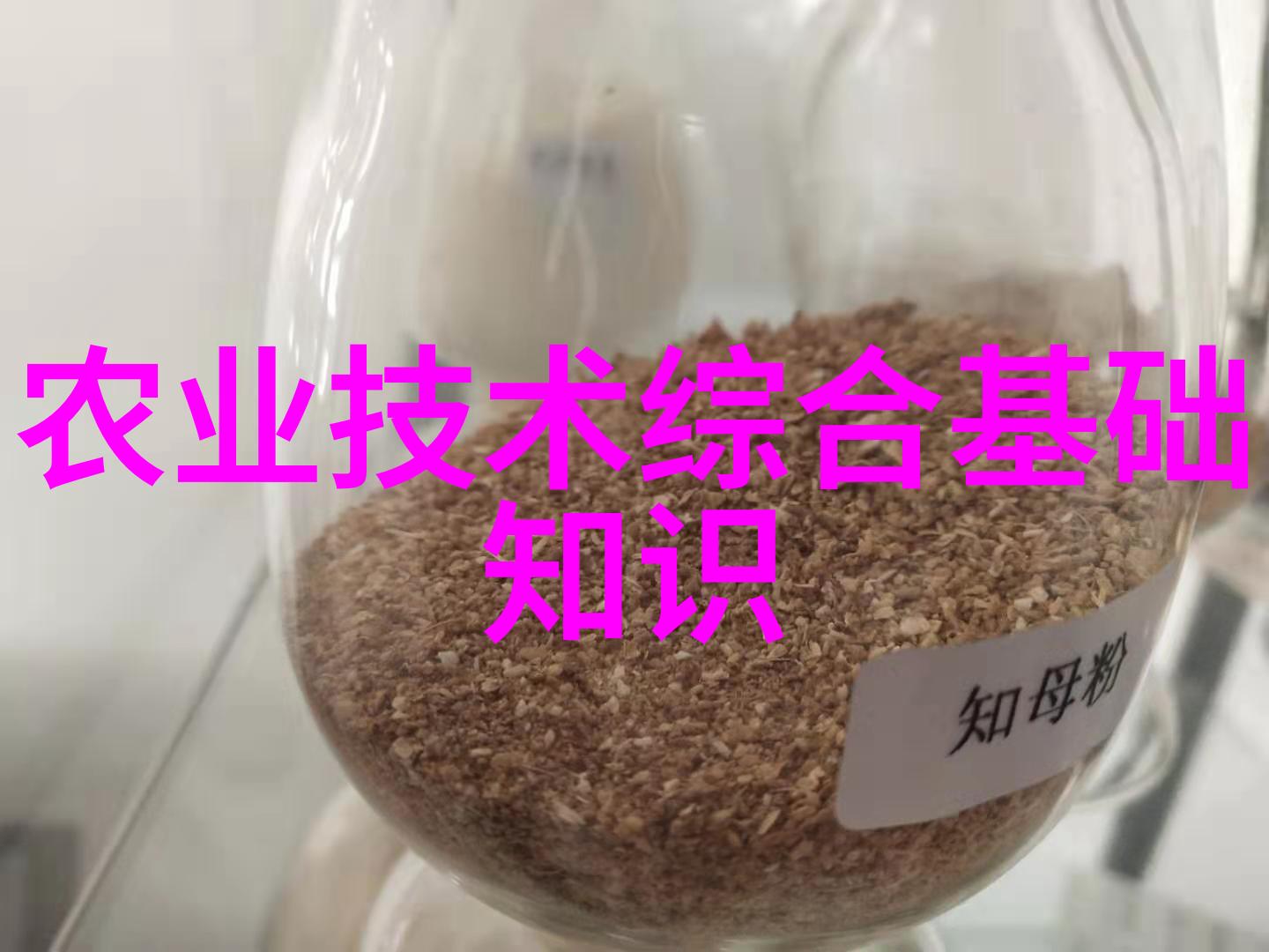 庭院蔬菜种植技术与管理我是如何让自己的小花园变成蔬菜宝库的