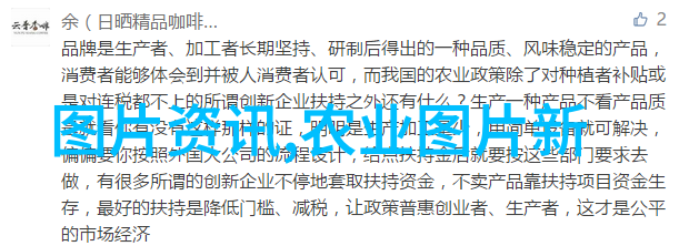 家中养花宝典选择财源滚滚的盆栽