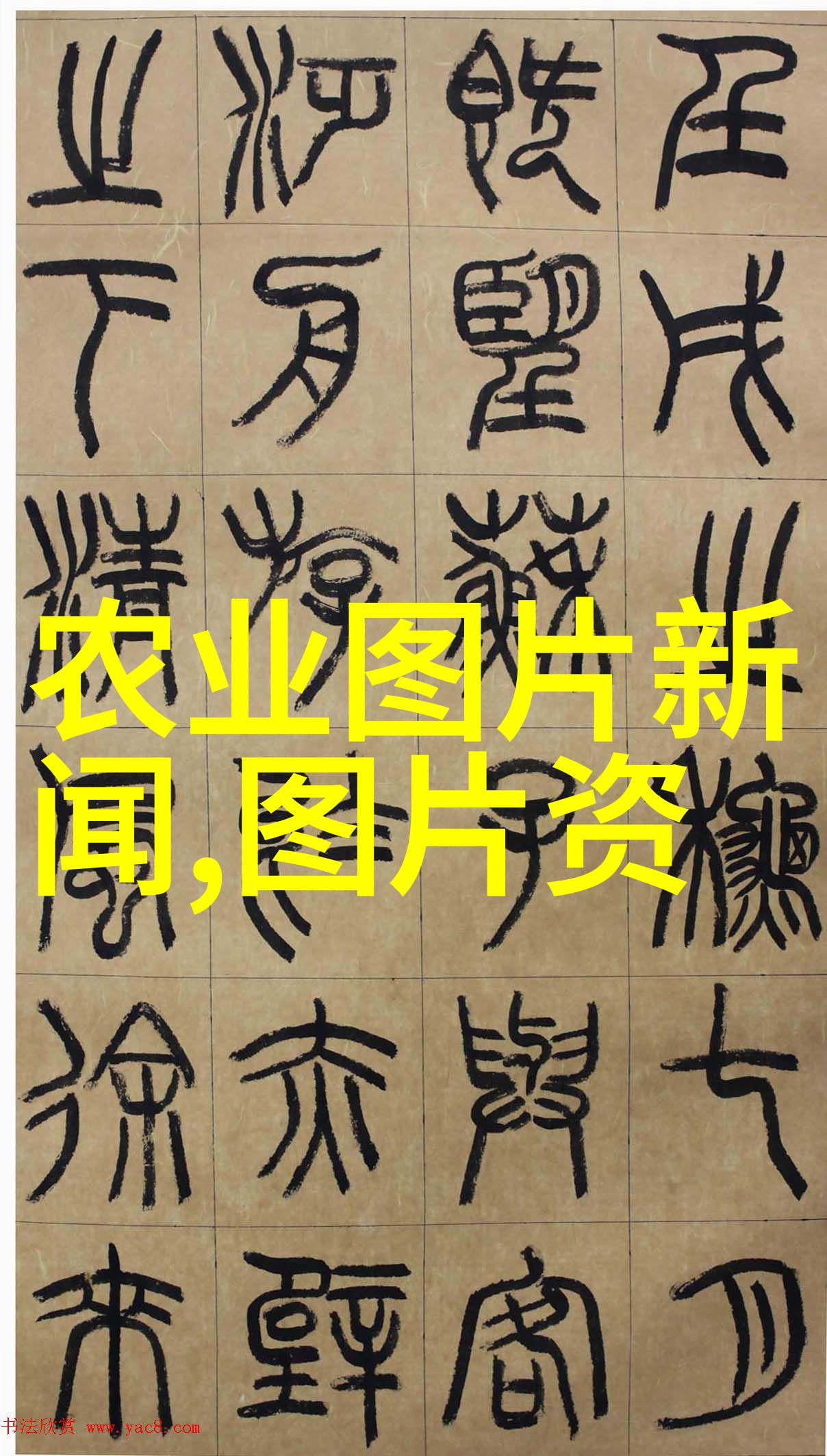 如何通过拍摄高品质带种子的水果图片来提升食物摄影技巧