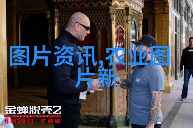 花卉种植春意盎然的园丁梦想