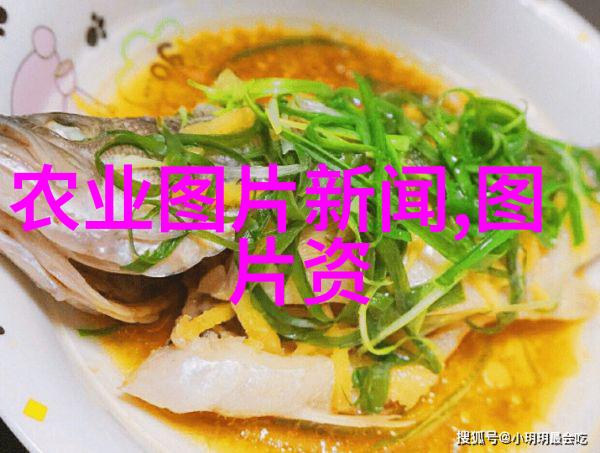 板蓝根种植技巧板蓝根的最佳栽培条件和方法