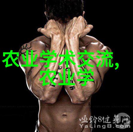 草药种植新趋势绿色健康的未来之路