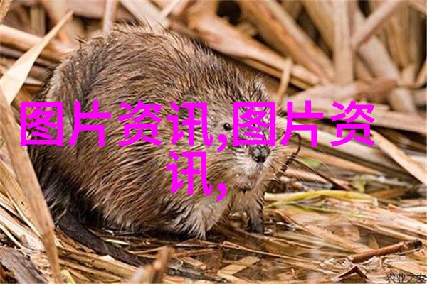 种植业的未来追逐可持续发展的黄金时期