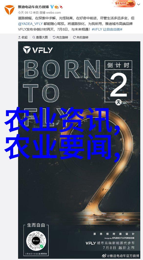 绿意盎然蔬菜种植专家免费咨询助您开启自制菜园之旅