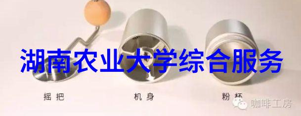 药草之梦绿意盎然的生长诗篇