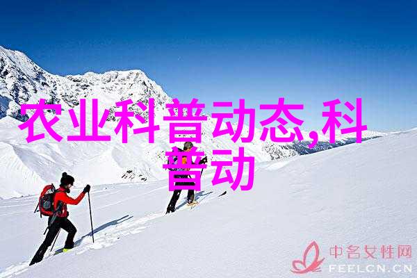 精准切割与美工完善木工机械的创意与实用
