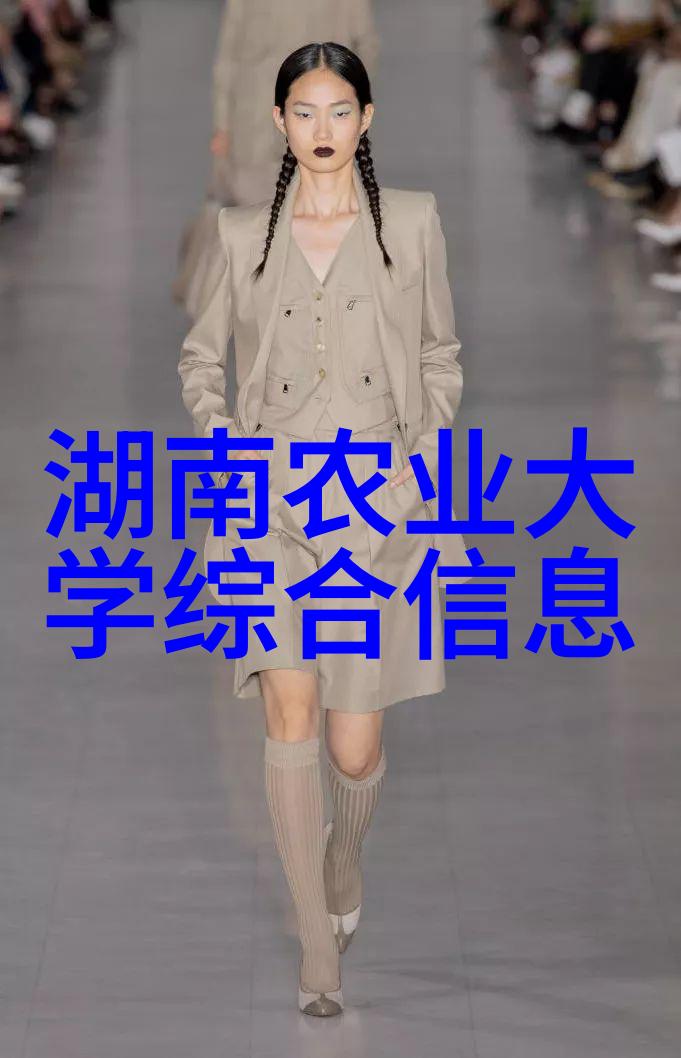 落叶缤纷岁月的铭记一棵枫树的十年价值之谜