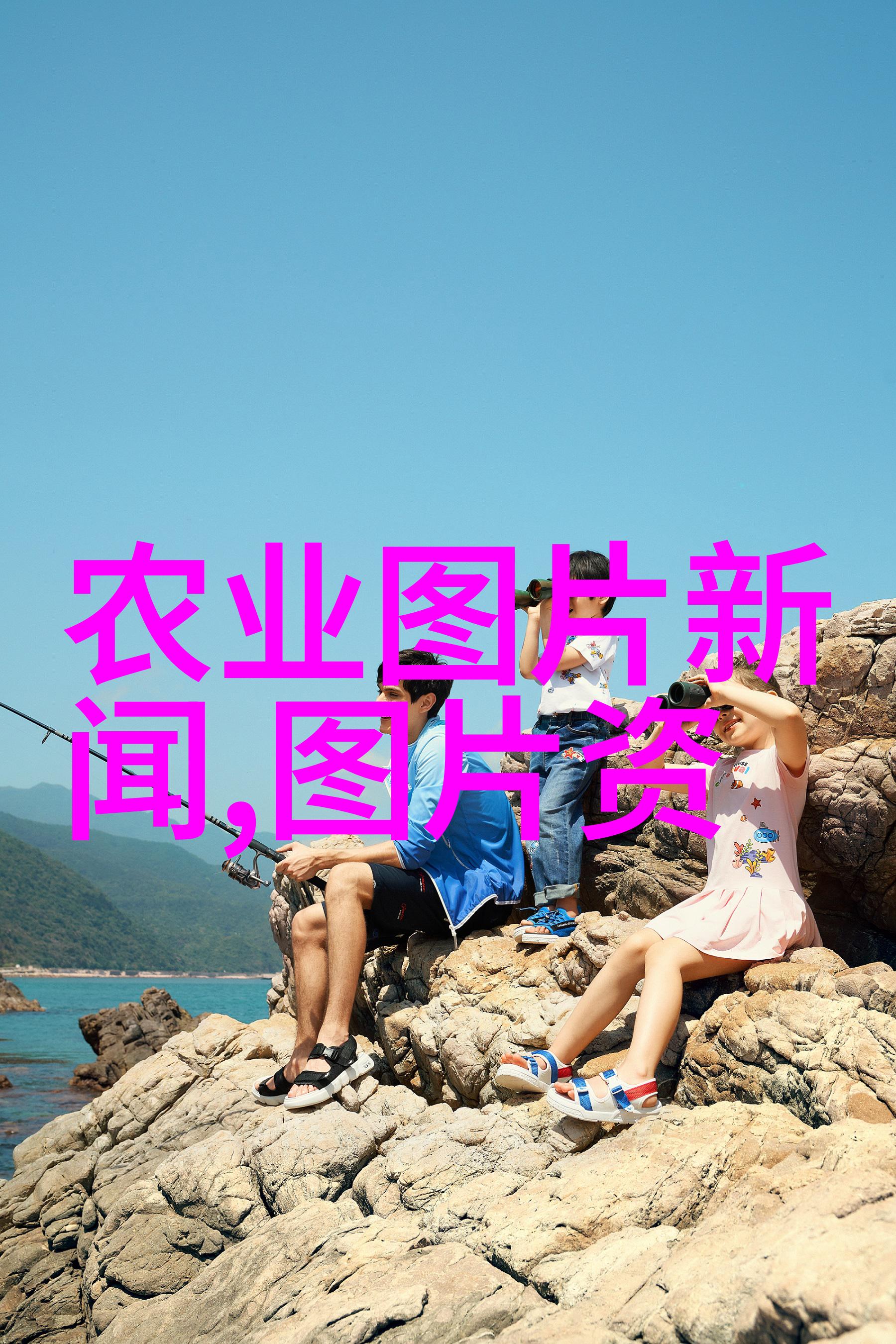 在不同气候条件下哪些作物适合短期内快速增值