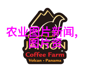 全国大豆玉米带状复合种植示范推广工作推进会在四川召开