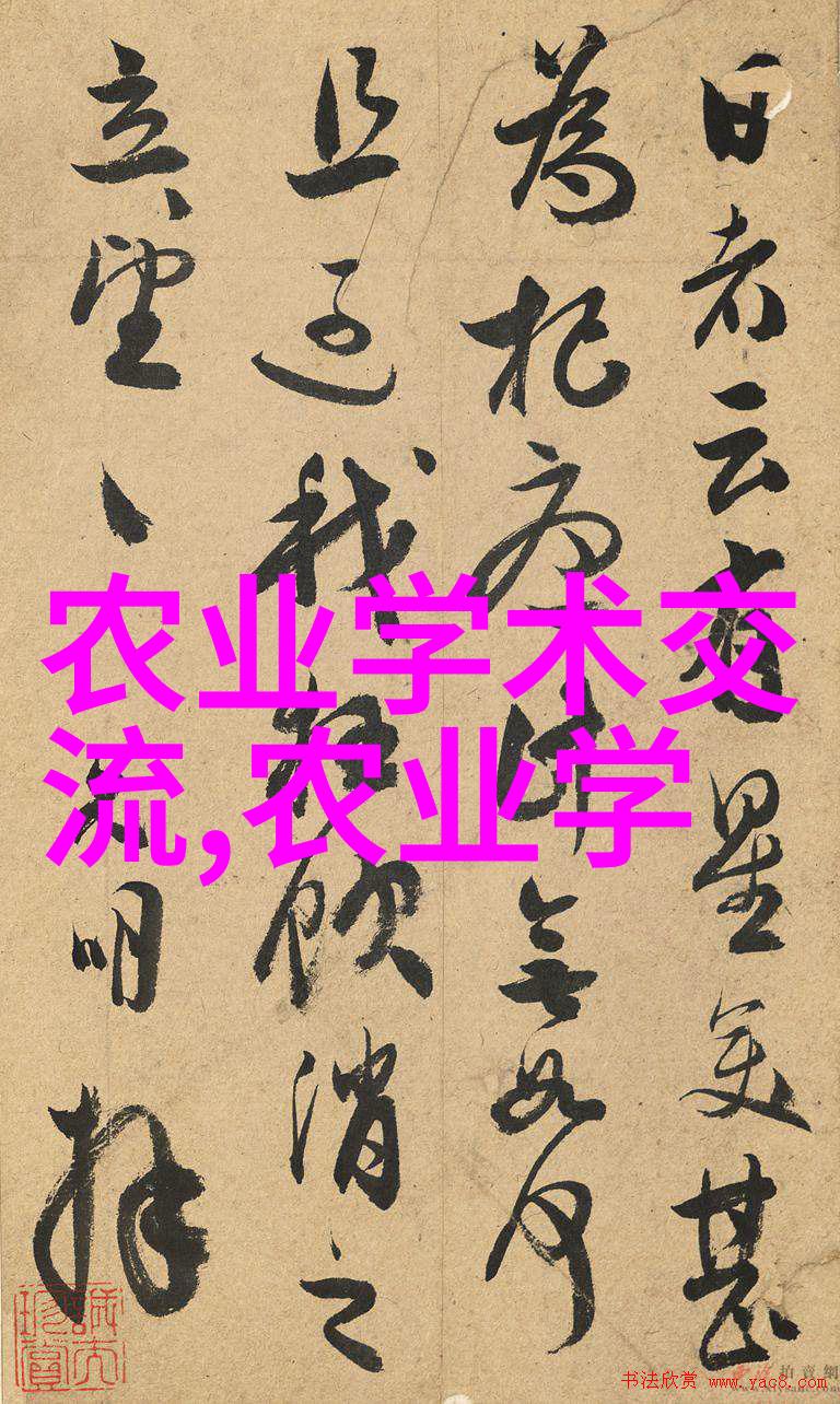冬季蔬菜种植技巧与选择