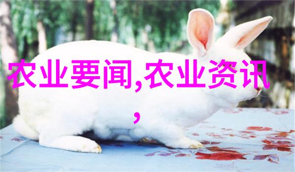 农村金钱树2020年最赚钱的养殖秘诀