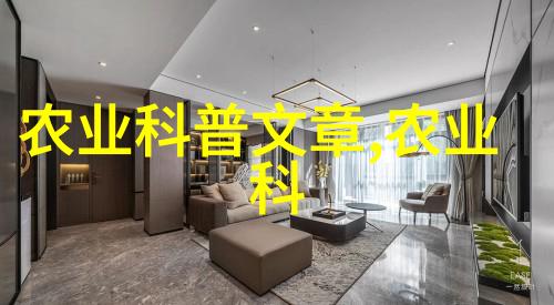 水果与种子的美丽图库一个丰富的视觉盛宴