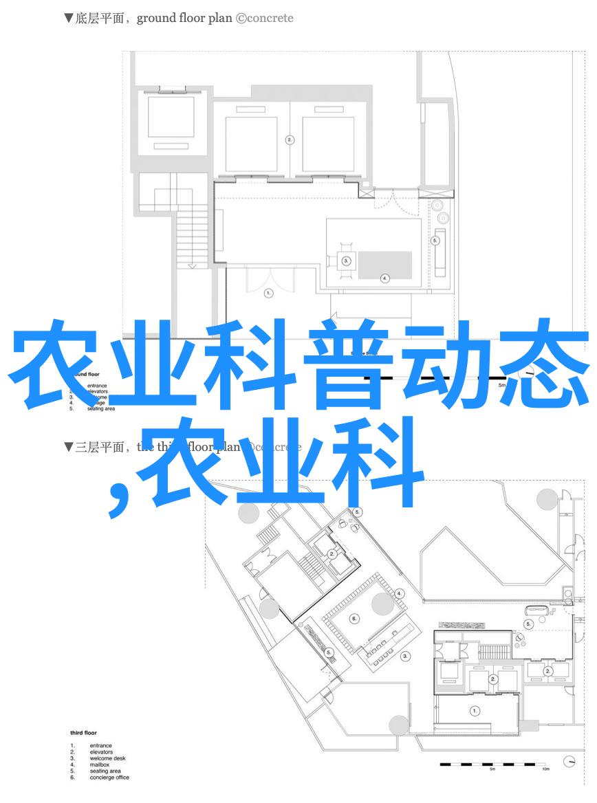冬季室外耐寒的花卉有哪些冬季耐寒植物室外生长花卉抗冻性高植物种类