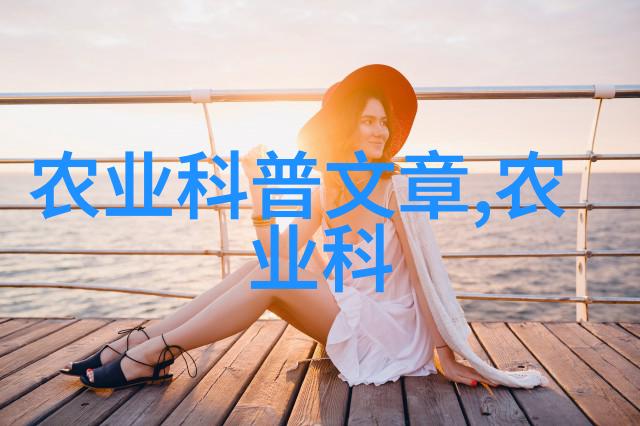 苹果