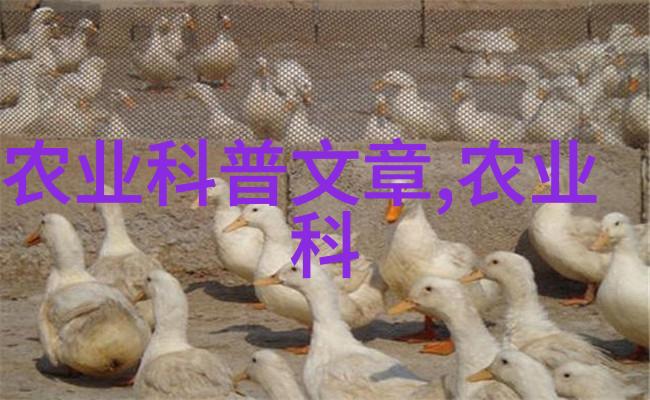 草本灵脉中药材种子交易网的纹理与叙述