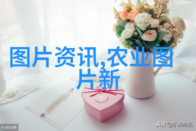 花卉种植-精彩纷呈探秘花卉种植的艺术与技巧