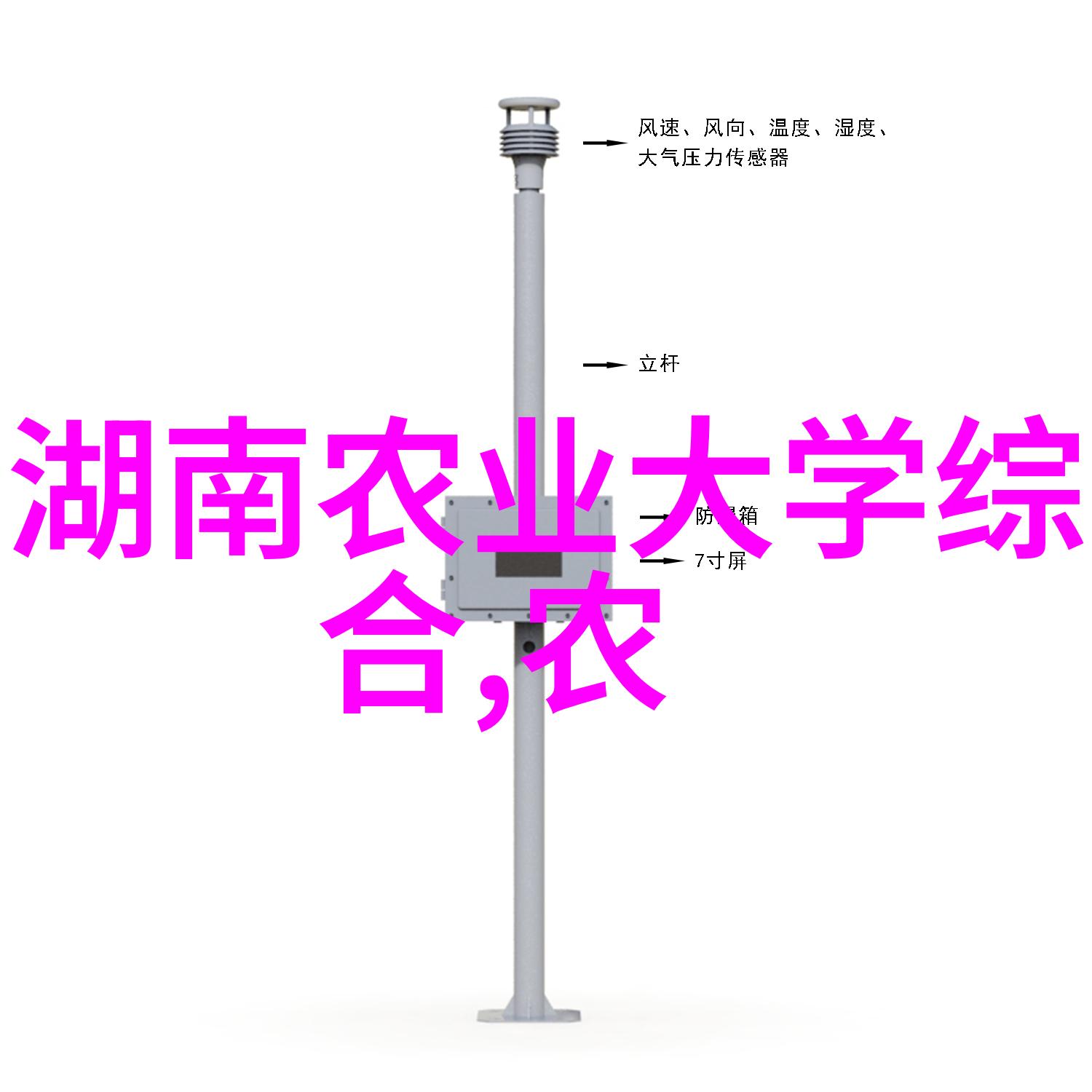 网络农业如何改变蔬菜种植的游戏规则