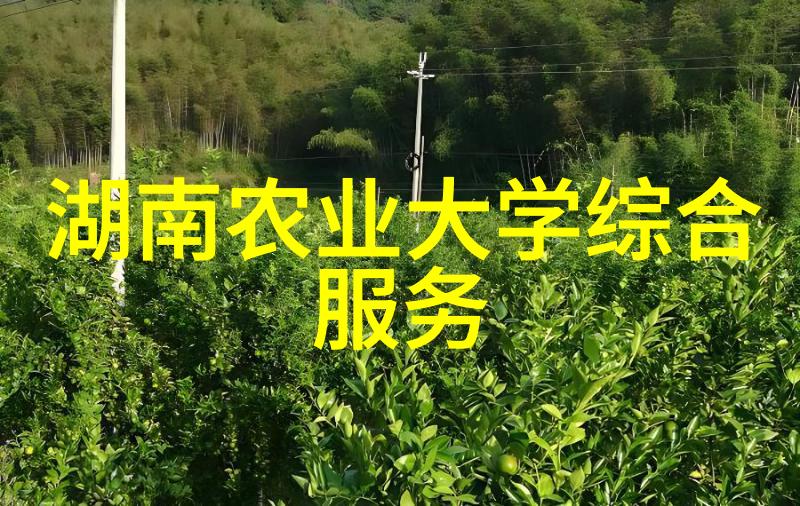广州芳村茶叶批发网-品茗香韵探索广州芳村茶叶批发网的传奇