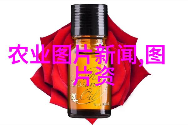 蔬菜种植交流平台共享智慧丰富绿色生活