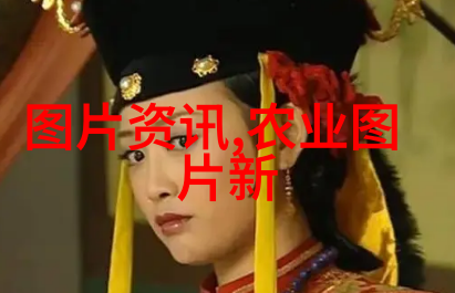 红楼梦中的小戏骨隐喻与深意的艺术体现