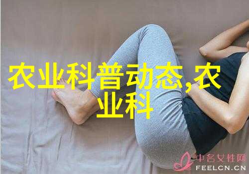 现在农村种植什么有前景胡萝卜贮藏秘籍