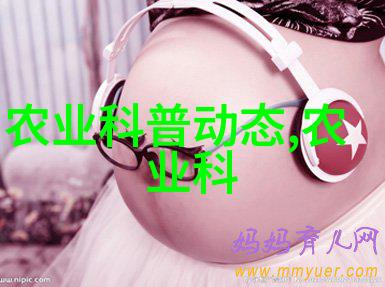 栾树种植前景在花卉植物大全中展现社会发展