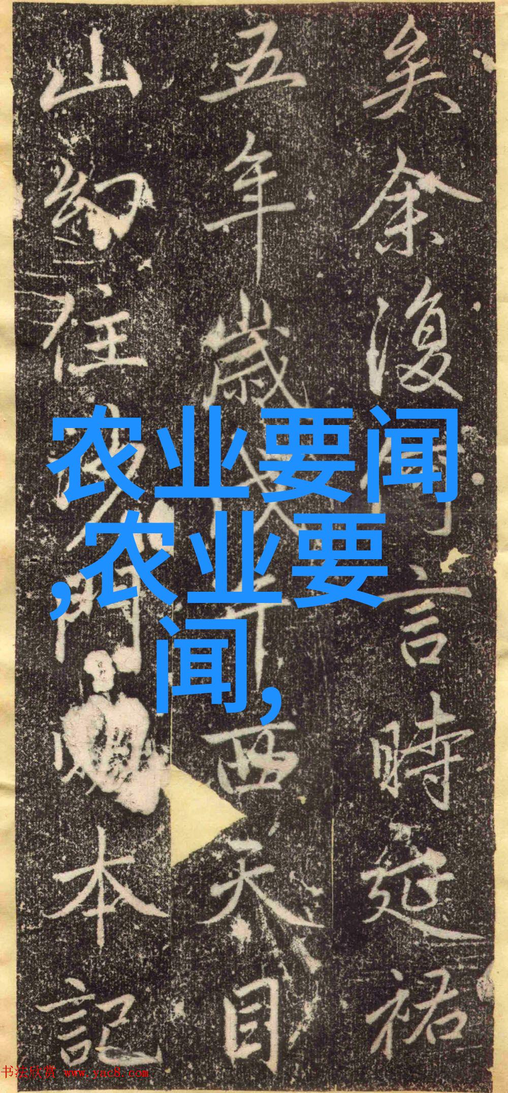 数字海洋中的金鱼揭秘鲫鱼的栖息地与体型极限