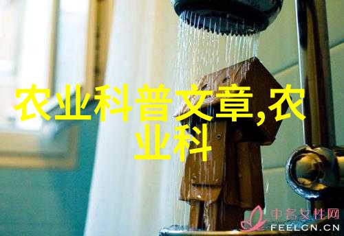 市场上最受欢迎的树种是什么它们为什么这么受欢迎
